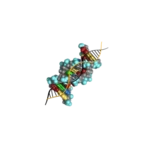 molecular genetics android application logo